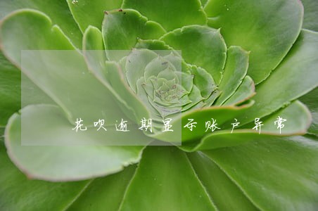 花呗逾期显示账户异常 花呗逾期显示账户异常