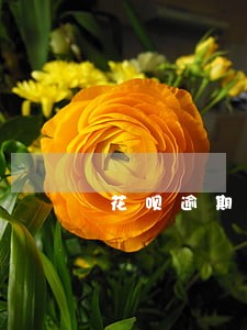 花呗逾期晚上打电话 花呗逾期晚上打电话