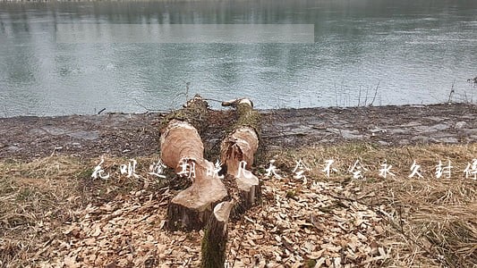 花呗逾期晚几天会不会永久封停 花呗逾期晚几天会不会永久封停
