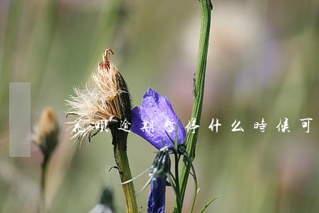 花呗逾期暂停什么时候可以恢复 花呗逾期暂停什么时候可以恢复