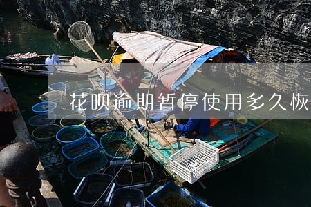 花呗逾期暂停使用多久恢复正常 花呗逾期暂停使用多久恢复正常