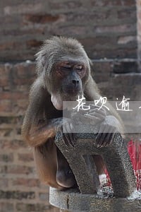 花呗逾期暂停多久恢复 花呗逾期暂停多久恢复