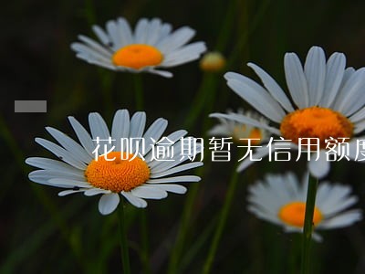 花呗逾期暂无信用额度怎么办 花呗逾期暂无信用额度怎么办