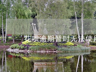 花呗逾期暂时无法使用要不要关闭 花呗逾期暂时无法使用要不要关闭