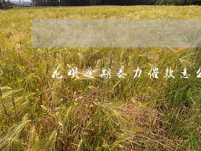 花呗逾期暴力催款怎么告他 花呗逾期暴力催款怎么告他
