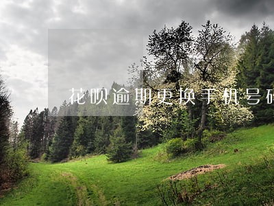 花呗逾期更换手机号码 花呗逾期更换手机号码