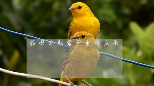 花呗逾期最严重的后果 花呗逾期最严重的后果