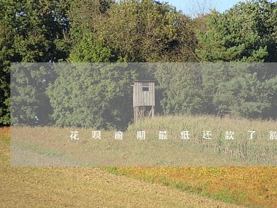花呗逾期最低还款了额度为零 花呗逾期最低还款了额度为零