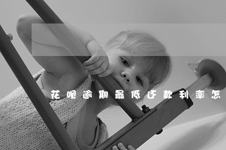 花呗逾期最低还款利率怎么算 花呗逾期最低还款利率怎么算
