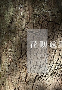 花呗逾期最低还款影响贷款吗 花呗逾期最低还款影响贷款吗