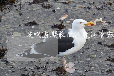 花呗逾期最低还款还有额度吗 花呗逾期最低还款还有额度吗