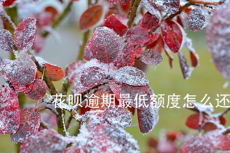 花呗逾期最低额度怎么还 花呗逾期最低额度怎么还