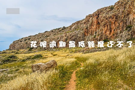 花呗逾期最低额度还不了 花呗逾期最低额度还不了