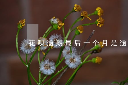 花呗逾期最后一个月是逾期了多久 花呗逾期最后一个月是逾期了多久