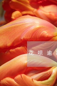 花呗逾期最后还清 花呗逾期最后还清