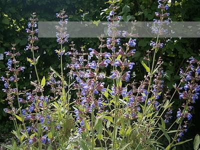 花呗逾期最多几天会上征信 花呗逾期最多几天会上征信