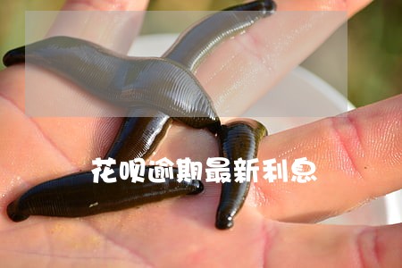 花呗逾期最新利息 花呗逾期最新利息