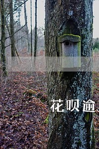花呗逾期最新规定 花呗逾期最新规定