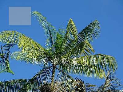 花呗逾期最长记录 花呗逾期最长记录