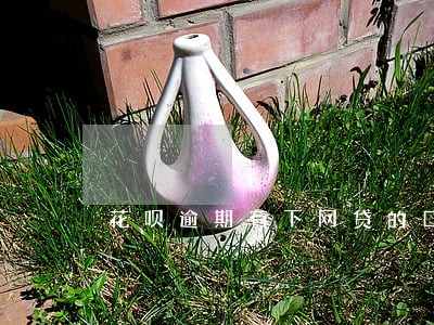 花呗逾期有下网贷的口子吗 花呗逾期有下网贷的口子吗