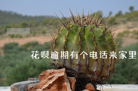 花呗逾期有个电话来家里 花呗逾期有个电话来家里