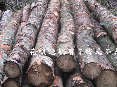 花呗逾期有了钱是不是马上扣款 花呗逾期有了钱是不是马上扣款