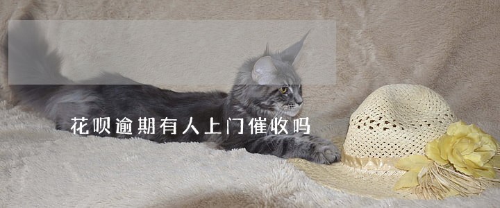 花呗逾期有人上门催收吗 花呗逾期有人上门催收吗