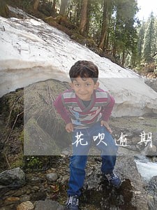 花呗逾期有人催收吗 花呗逾期有人催收吗