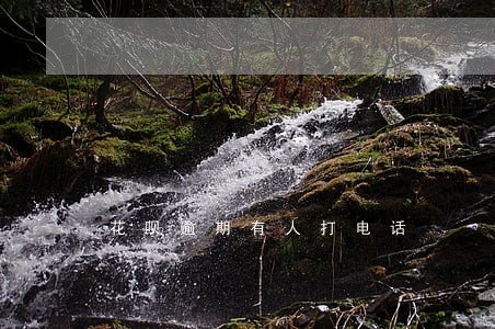 花呗逾期有人打电话 花呗逾期有人打电话