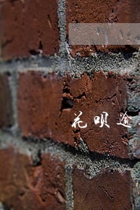 花呗逾期有人真的被上门了吗 花呗逾期有人真的被上门了吗
