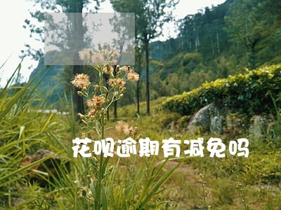 花呗逾期有减免吗 花呗逾期有减免吗