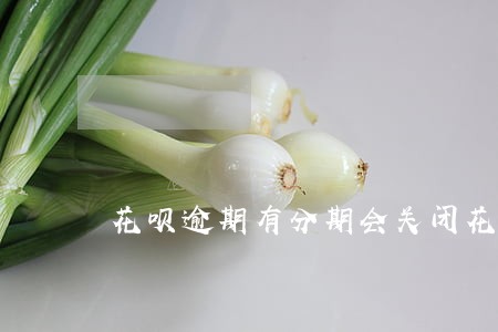 花呗逾期有分期会关闭花呗吗 花呗逾期有分期会关闭花呗吗
