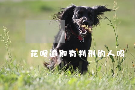 花呗逾期有判刑的人吗 花呗逾期有判刑的人吗