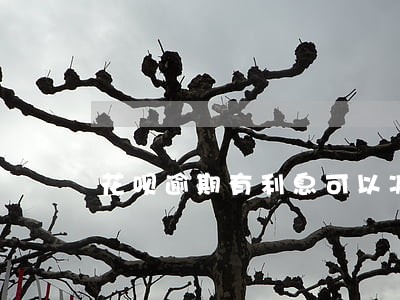 花呗逾期有利息可以减免吗 花呗逾期有利息可以减免吗