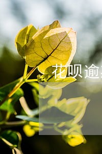 花呗逾期有北京的号催收 花呗逾期有北京的号催收