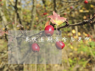 花呗逾期有啥后果啊 花呗逾期有啥后果啊