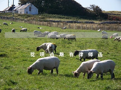 花呗逾期有律师函