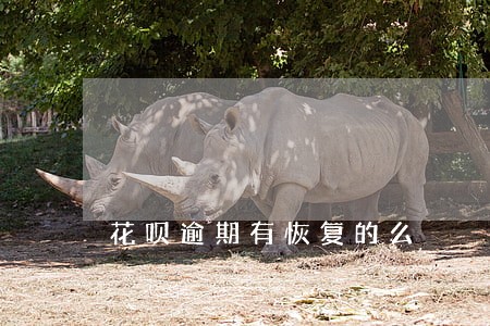 花呗逾期有恢复的么 花呗逾期有恢复的么