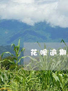 花呗逾期有成功减免逾期费的吗 花呗逾期有成功减免逾期费的吗