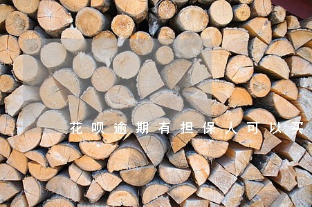 花呗逾期有担保人可以买车吗 花呗逾期有担保人可以买车吗