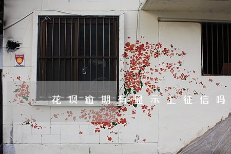花呗逾期有显示上征信吗 花呗逾期有显示上征信吗