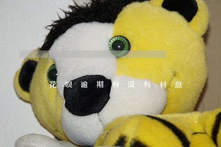 花呗逾期有没有利息 花呗逾期有没有利息