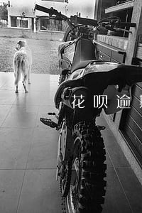 花呗逾期有没有网贷可以贷 花呗逾期有没有网贷可以贷