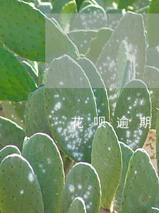 花呗逾期有罚息么 花呗逾期有罚息么