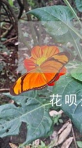 花呗逾期有违约金么 花呗逾期有违约金么