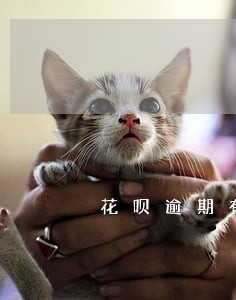 花呗逾期有通讯录的电话吗