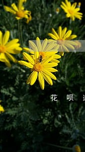 花呗逾期有遇到过上门核实的吗 花呗逾期有遇到过上门核实的吗