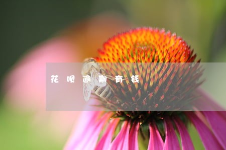 花呗逾期有钱 花呗逾期有钱