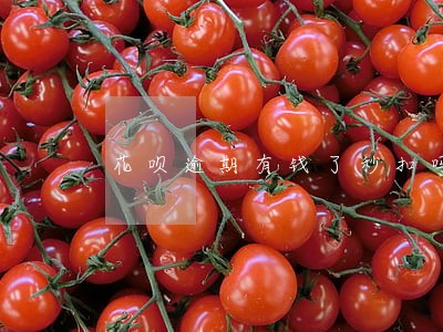 花呗逾期有钱了秒扣吗 花呗逾期有钱了秒扣吗