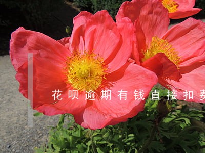 花呗逾期有钱直接扣费嘛 花呗逾期有钱直接扣费嘛